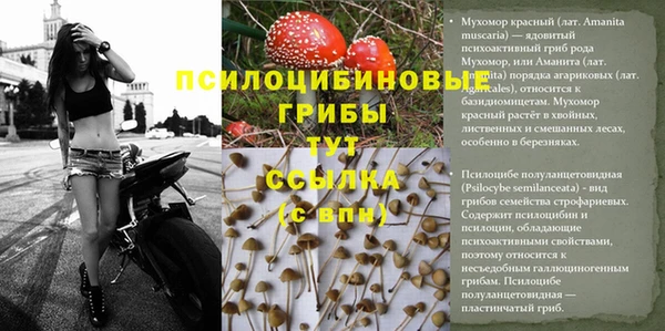 метамфетамин Медногорск