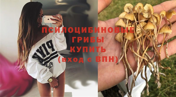 метамфетамин Медногорск