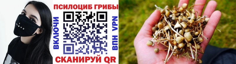 Псилоцибиновые грибы Magic Shrooms  Гаджиево 